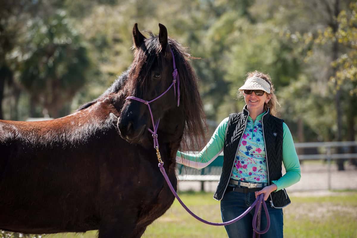 Still With Horses community image