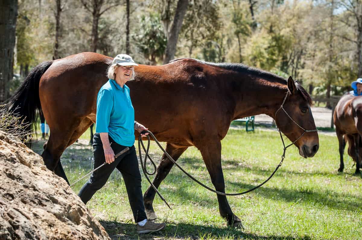 Still With Horses community image
